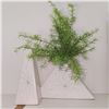 Image 3 : Four White Ceramic Vessels, 22 Inches is Tallest