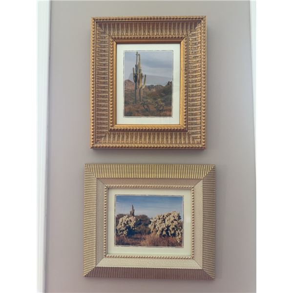 Framed Cactus Photographs