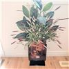 Image 2 : Decorative Faux House Plant w/ Art By DAHLKE 13x13