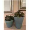 Image 3 : Trendy Home Decor Wall Art and Planters