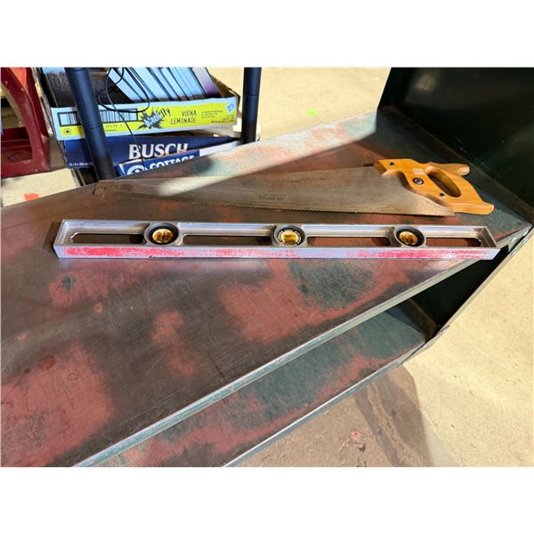 Level and saw