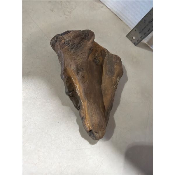 Petrified wood? Dinosaur bone?