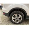 Image 27 : PARKSVILLE - 2013 FORD ESCAPE WHITE 134039 KMS - DC64344