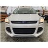 Image 5 : PARKSVILLE - 2013 FORD ESCAPE WHITE 134039 KMS - DC64344