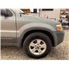 Image 25 : PARKSVILLE - 2006 FORD ESCAPE GREEN 199048 KMS - BA94742