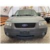 Image 5 : PARKSVILLE - 2006 FORD ESCAPE GREEN 199048 KMS - BA94742
