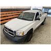 Image 4 : PARKSVILLE - 2006 DODGE DAKOTA WHITE 60233 MILES TMU - B633876