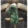 Image 5 : SILVER NAJA (JOHN HORNBECK)