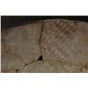 Image 7 : ANASAZI POTTERY BOWL