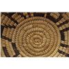 Image 10 : PAPAGO BASKETRY TRAY