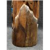 Image 18 : NAVAJO WOODCARVING (M PETERSON)