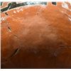 Image 20 : CEDAR CREEK POTTERY BOWL