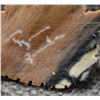 Image 19 : SEVEN ZUNI FETISHES