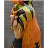 Image 18 : HOPI KACHINA (LAWRENCE DALLAS)