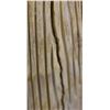 Image 17 : ZUNI ANTLER FETISH