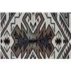 Image 14 : NAVAJO TEEC NOS POS TEXTILE