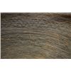Image 15 : YOKUTS BASKETRY COOKING BOWL