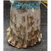 Image 13 : ZUNI ANTLER FETISH