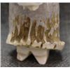 Image 9 : ZUNI ANTLER FETISH