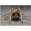 Image 5 : NAVAJO PIN (SPENCER)