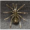 Image 6 : NAVAJO PIN (SPENCER)