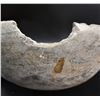 Image 22 : ANASAZI POTTERY BOWL