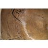 Image 20 : ANASAZI POTTERY BOWL