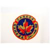 Image 2 : REPRODUCTION CANADIAN INGLIS PISTOL DECAL LOT