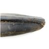 Image 7 : CANADIAN ROSS RIFLE HUNTING KNIFE