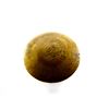 Image 5 : PRE-1900 BRITISH BRASS MKII OILER