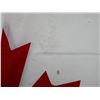 Image 3 : CANADIAN NATIONAL FLAG