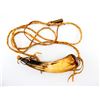 Image 1 : BLACK POWDER HORN