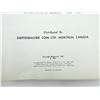 Image 4 : "COUNTERFEIT GOLD COINS" BOOK