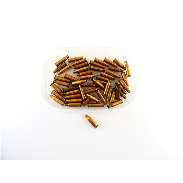 NON-PRIMED ASSORTED .218 BEE BRASS CASES LOT