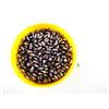 Image 1 : UNKNOWN .323 CALIBER CAST BULLETS LOT