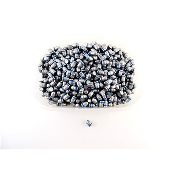 UNKNOWN CAST BULLETS LOT