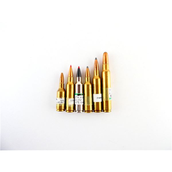 COLLECTIBLE ASSORTED MODERN SPORTING AMMO LOT