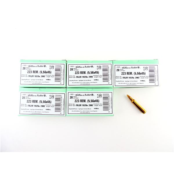 SELLIER & BELLOT .223 REM (5.56X45MM) AMMO LOT