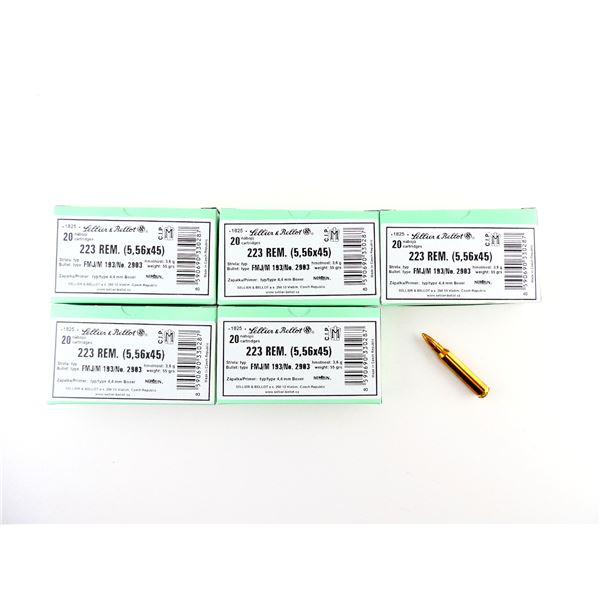 SELLIER & BELLOT .223 REM (5.56X45MM) AMMO LOT