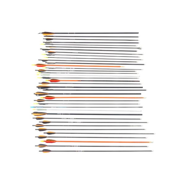 ASSORTED ARROWS LOT