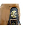 Image 9 : ASSORTED SOFT PADDED AND HARD PADDED RIFLE CASES LOT