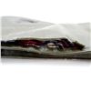 Image 9 : ASSORTED HARD PADDED AND SOFT PADDED RIFLE CASES LOT