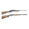 Image 1 : CROSMAN ARMS MODEL 73 & DAISY MODEL 86/70