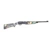 Image 1 : DAISY GRIZZLY MODEL 840