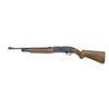 Image 2 : CROSMAN MODEL 781 AIR RIFLE