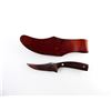 Image 2 : SCHRADE 152 HUNTING KNIFE WITH SHEATH