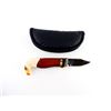 Image 1 : FRANKLIN MINT COLLECTOR EAGLE FOLDING KNIFE