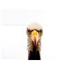 Image 6 : FRANKLIN MINT COLLECTOR EAGLE FOLDING KNIFE