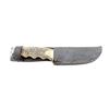 Image 4 : SCHRADE WALDEN HUNTING/SKINNING KNIFE WITH SHEATH AND KNIFE SHARPENER LOT