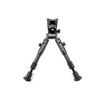 Image 1 : SME BIPOD